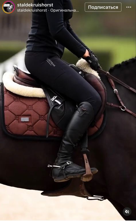 Tack Sets English, Horse Tack English, English Tack Sets, Rich Equestrian, Horse Outfits, Equestrian Tack, All Horse Breeds, Equestrian Outfit, Flat Riding Boots