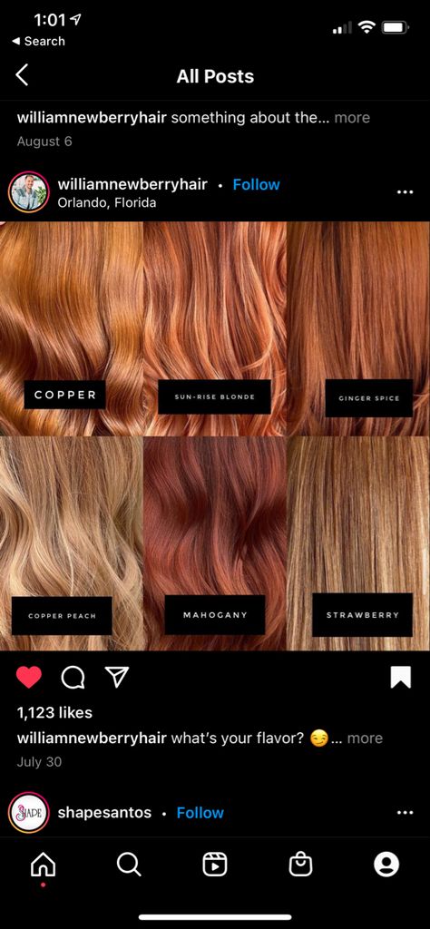 Ginger Hair Color Types, Copper Hair Chart, Red Hair Level Chart, Copper Semi Permanent Hair Color, Spring Red Hair Color 2024, Hair Level Chart, Red Hair Color Chart, Light Copper Hair, Wella Illumina Color