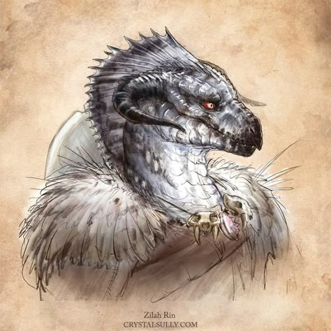 Dnd Dragonborn, Dungeons And Dragons Races, Npc Ideas, Dnd Campaign, Dnd Dragons, Fantasy Races, Dungeons And Dragons Characters, My Dear Friend, Alien Art