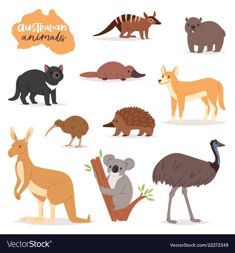 Australian animals animalistic character in Vector Image Australian Native Animals Illustration, Australia Animals Illustration, Animals From Australia, Australian Animals Illustration, Wombat Illustration, Platypus Illustration, Australia Illustration, Australia For Kids, Australian Mammals