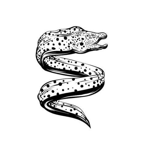 Eel Illustration, Sea Life Tattoos, Trident Tattoo, Tato Tradisional, Lower Leg Tattoos, Moray Eel, Ocean Tattoos, Nautical Tattoo, Boho Painting