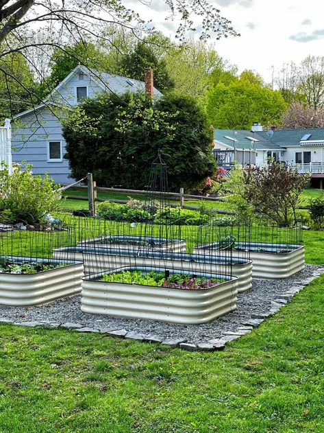 My New Raised Garden Bed for Vegetables - Stacy Ling Watering Raised Garden Beds, Backyard Goals, Garden Patios, Deer Proof, Garden Bed Layout, Vegetable Garden Beds, Building Raised Garden Beds, Building A Raised Garden, Grow Vegetables