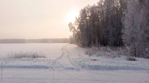 Snowy Valley, Kingdom Inspiration, Snowy Pictures, Snowy Road, Painting References, Winter Forest, Screen Savers, Winter White, The Valley