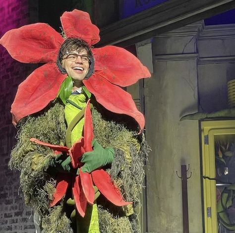 Jeremy Jordan Little Shop Of Horrors, Jeremy Jordan Funny, Audrey 2 Little Shop Of Horrors, Little Shop Of Horrors Aesthetic, Seymour Little Shop Of Horrors, Little Shop Of Horrors Musical, Lil Shop Of Horrors, Little Shop Of Horrors Costume, Audrey 2