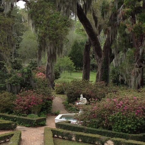 ... Beautiful Louisiana Baton Rouge Louisiana Aesthetic, Louisiana Mansion, Louisiana Aesthetic, Louisiana Architecture, Gmail Sign, Disney Worlds, Louisiana Creole, Louisiana Bayou, Mediterranean Aesthetic