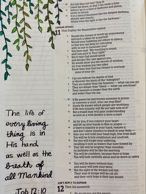 The Old Testament Bible Journaling, Job Bible Journaling, Legacy Bible, Job Bible, Scripture Notes, Study Things, Pink Bible, Great Are You Lord, Bible Doodles