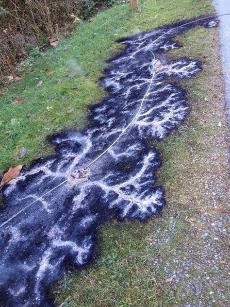 This Lichtenberg figure was caused by a downed power line. : WTF Lichtenberg Figures, Line Photo, Picture Day, Whippet, World Of Warcraft, Nature Beauty, Beautiful Pictures, Cool Photos, Funny Pictures