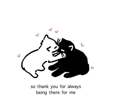 Love Wholesome, Wholesome Love, Mahal Kita, Kitty Drawing, Gif Lucu, Drawing Cat, Cat Photos, Cat Meme, Cat Pictures