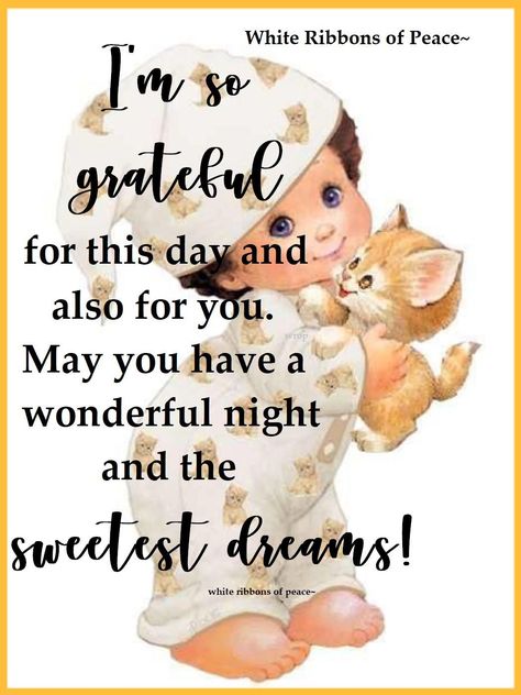 I'm So Grateful For This Day And Also For You. May You Have A Wonderful Night And The Sweetest Dreams Pictures, Photos, and Images for Facebook, Tumblr, Pinterest, and Twitter Sweetest Dreams Quotes Good Night, Good Night Best Friend, Good Night Daughter, Good Night Humor, Good Night Wishes Cute, Cute Goodnight Quotes, Good Night Inspirational Quotes, Goodnight Cute Images, Inspirational Good Night Quotes