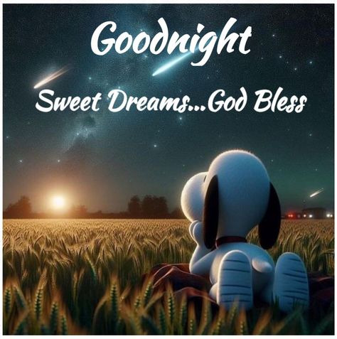 Cute Good Night Messages, Goodnight Snoopy, Snoopy Tattoo, Peanuts By Schulz, Snoopy Funny, Snoopy Images, Cute Good Night, Slaap Lekker, Snoopy Wallpaper