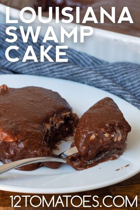 This Louisiana swamp cake recipe contains pecans, coconut, and a secret ingredient that makes this cake extra tasty: marshmallow creme. Louisiana Swamp Cake, Lane Cake Recipe Alabama, Cajun Deserts, Louisiana Recipes Dessert, Creole Desserts, Cajun Recipes Louisiana Authentic, Louisiana Desserts, Cajun Dessert Recipes, Cajun Cake Recipe