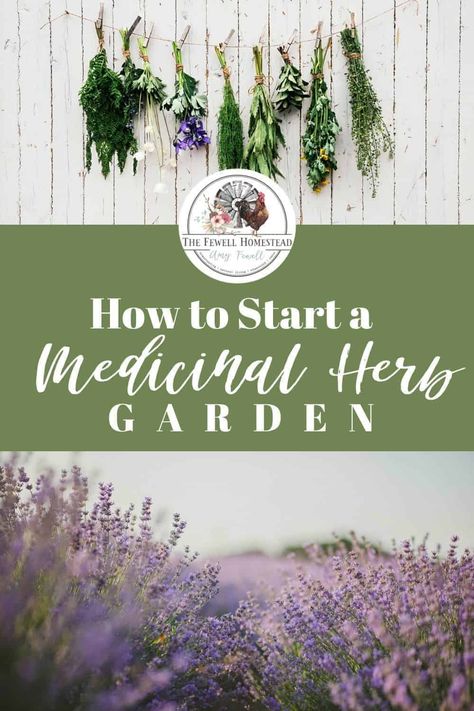 Medicinal Herb Garden, Fun Garden Art, Medicine Garden, Small Herb Gardens, Outdoor Herb Garden, Whimsical Garden Art, Medicinal Herbs Garden, Medical Herbs, Diy Herb Garden