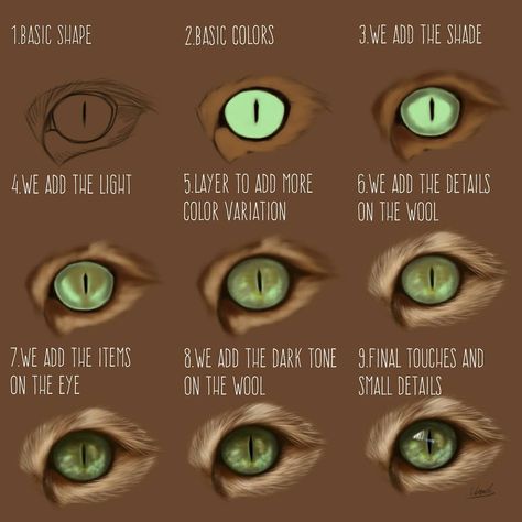 Someone asked for a tutorial on how to draw a cat's eye, so here it is! ⚠️You can always give me suggestions for future tutorials⚠️✏💜 App:… How To Paint Cat Eyes, Cat Eye Painting, Cat Eye Drawing, Realistic Cat Drawing, Cat Eyes Drawing, How To Draw Cats, Cat Eye Tutorial, Draw Cats, Draw A Cat