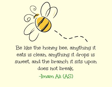 Be like the honey bee, anything it eats it eats is clean, anything it drops is sweet, and the branch it sits upon does not break. -Imam Ali (AS) Honey Bee Quotes, Honey Quotes, Bee Quotes, Save Environment, Imam Ali Quotes, Bee Inspired, Life Lyrics, Quotes By Authors, Hazrat Ali