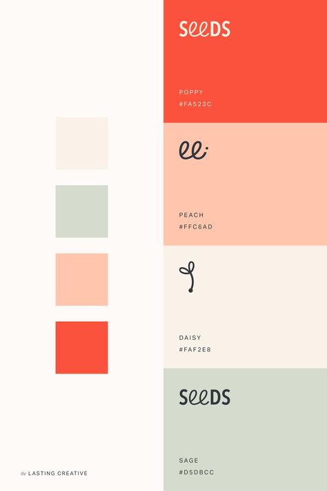 Friendly Design Branding, Friendly Colour Palette, Fun Color Combinations, App Colour Palette, Warm Bright Color Palette, 2024 Branding Trends, Colour Palette House, French Color Palette, Website Colour Palette