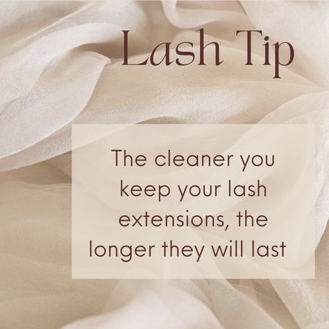 Quotes Lashes Eyelash Extensions, Lash Extension Advertising, Lash Appointment Rules, Lash Extensions Post Ideas, Lash Policies, Lash Tip Tuesday, Lash Instagram Theme, Lash Extension Quotes, Lash Page Aesthetic