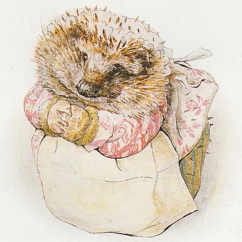 Beatrix Potter- from 'The Tale of Mrs. Tiggy- Winkle', 1905 Tales Of Beatrix Potter, Beatrix Potter Illustrations, Beatrice Potter, Beatrix Potter Books, Peter Rabbit And Friends, Benjamin Bunny, Marjolein Bastin, Cat Call, Potter Art