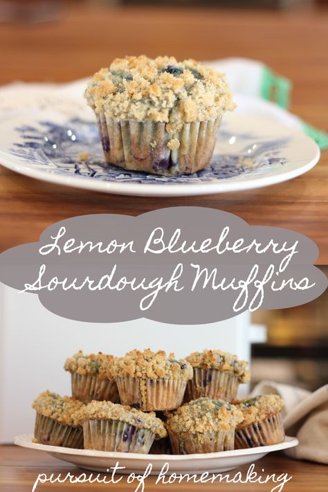 Lemon Blueberry Sourdough Discard Muffin Recipe | Pursuit of Homemaking Blueberry Sourdough Muffins, Lemon Blueberry Sourdough, Quick Blueberry Muffins, Blueberry Sourdough, Lemon Blueberry Muffins Recipe, Sourdough Muffins, Easy Sourdough Bread Recipe, Recipe Using Sourdough Starter, Sourdough Bread Starter