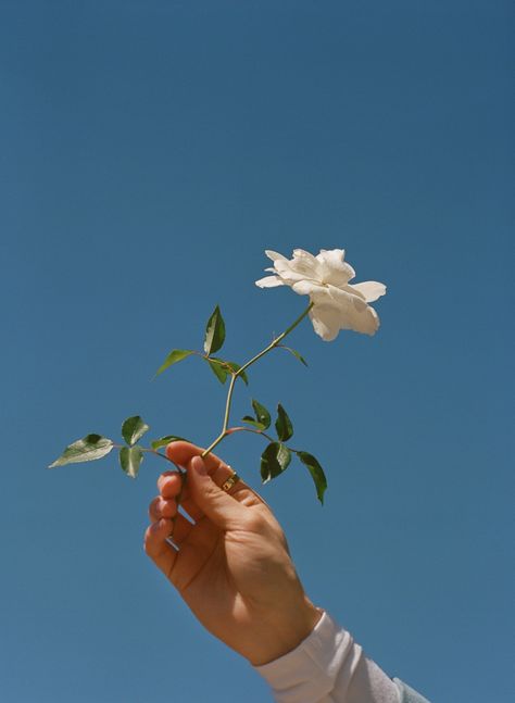 Natural Beauty Photography, Wonderland Magazine, Anne Frank, Images Esthétiques, Wallpaper Free, + Core + Aesthetic, Fashion Photography Editorial, Retro Aesthetic, Blue Aesthetic