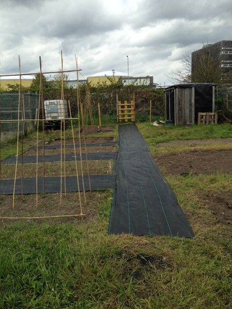 Progress on the allotment... Garden Allotment, Allotment Upcycling, Allotment Paths, Half Plot Allotment, Allotment Path Ideas, Allotment Layout, Allotment Ideas Budget, Allotment Ideas, Allotment Ideas Inspiration