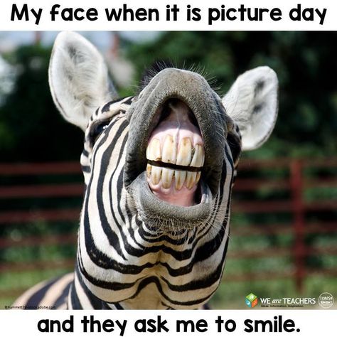 Picture Day Face Teaching Memes, School Picture Day, School Picture, Thanksgiving Break, Teacher Memes, Picture Day, School Pictures, Teacher Humor, Inspiring Quotes