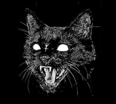 Punk Cats, Cats Tattoo, Castlevania Wallpaper, Art Flash, Creepy Cat, Arte Punk, Dark Grunge, Occult Art, Kpop Meme