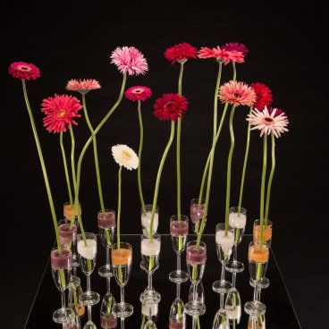 Mix Mini Gerbera Christmas decoration Table Decoration For Christmas, Liquid Candle, Gerbera Flower, Silver Christmas Decorations, Decoration For Christmas, Christmas Flower Arrangements, Arrangement Ideas, Christmas Arrangements, Kinds Of Colors