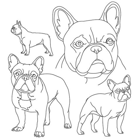 French Bulldog Drawing Easy, Draw French Bulldog, Frenchie Drawing, Frenchie Line Drawing, Frenchie Outline, French Bulldog Outline, Frenchie Coloring Pages, French Bulldog One Line Drawing, Sketching References