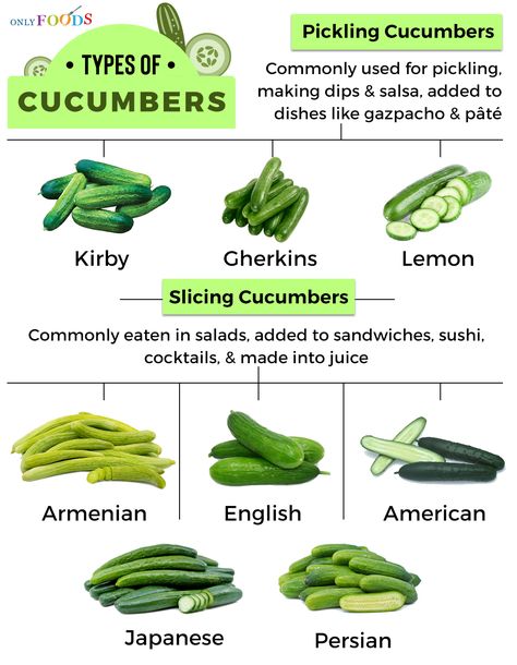 Different Types Of Cucumbers, Types Of Cucumbers, Garden Potager, How To Make Dip, Kitchen Knowledge, Cabbage Varieties, Cucumber Varieties, Making Sauerkraut, Types Of Cabbage