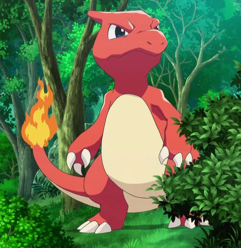 Charmeleon Charmeleon Pokemon, Charmander Charmeleon Charizard, Gen 1 Pokemon, Pokemon Team, First Pokemon, Pokemon Pokedex, Pokemon Teams, Pokemon Drawings, All Pokemon