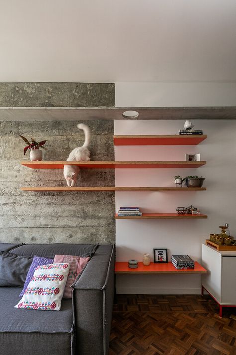 Electric Interior, Cat Room Decor, Cat Climbing Wall, Cat Furniture Design, Cat Wall Shelves, Cat Wall Furniture, Living With Cats, Ideas Hogar, Cat Shelves