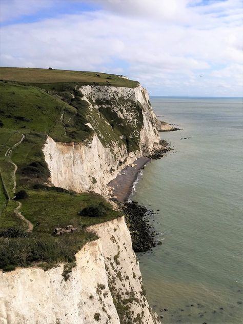 Cliffs By The Sea, Cliffs Of Dover England, White Cliffs Of Dover Aesthetic, Scotland Cliffs, Dover Cliffs, Dover England, Cottonwood Tree, Cliffs Of Dover, White Cliffs Of Dover