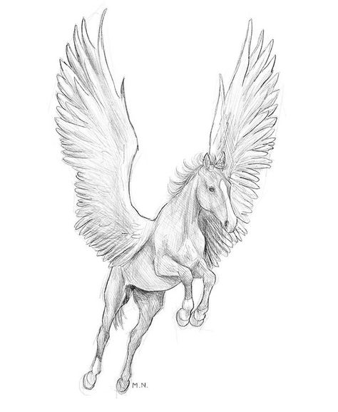 Pegasus Sketch, Arabian Horse Tattoo, Free Lineart, Horse Art Drawing, The Black Pearl, Unicorn Tattoos, Magical Horses, Horse Sketch, Fantasy Horses