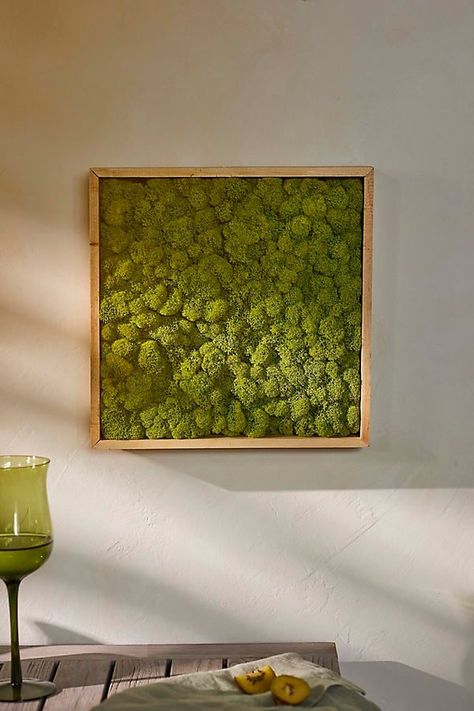 Framed Reindeer Moss Tape Wall Art, Tape Wall, Landscape Art Prints, Reindeer Moss, Wall Art Aesthetic, Wall Art Ideas, Wall Art Nature, Aesthetic Nature, Nature Art Painting