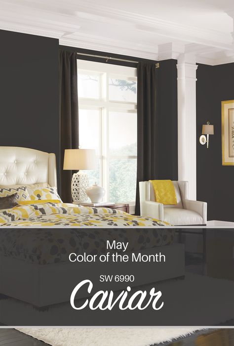 Sherwin-Williams' May Color of the Month: Caviar SW 6990 Bedroom Wall Colors Sherwin Williams, Wall Colors Sherwin Williams, Caviar Sherwin Williams, Caviar Paint, Paint Walls, Color Of The Month, Black Paint Color, Basement Reno, Window Sills