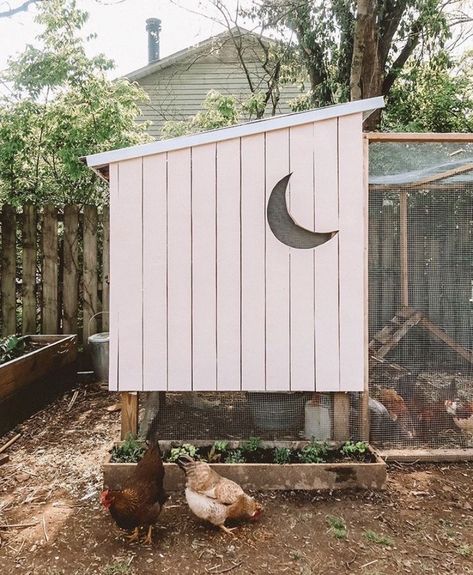 Decorating Chicken Coop, Diy Outdoor Deck, Chicken Coop Wire, Chicken Ladder, Fence Diy, Small Chicken Coops, Chicken Coop Decor, Eggs For Breakfast, Chicken Waterer