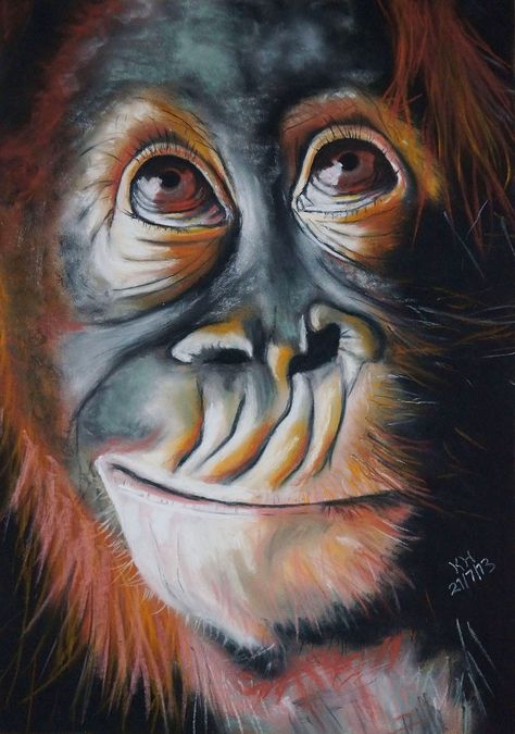 Cheeky chappy... my baby orangutan in pastel... :) Orangutan Wallpaper, Primitive Lifestyle, Orangutan Art, Wallpaper Drawing, Baby Orangutan, Mighty Mouse, Vampire Teeth, Jane Goodall, Pastel Artwork