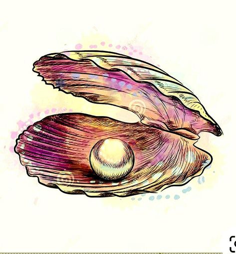 Seashell Drawing, Animorphia Coloring Book, Biro Drawing, Contemporary Botanical Art, Tupac Art, Shell Drawing, Notebook Drawing, Watercolour Texture Background, Sea Life Art