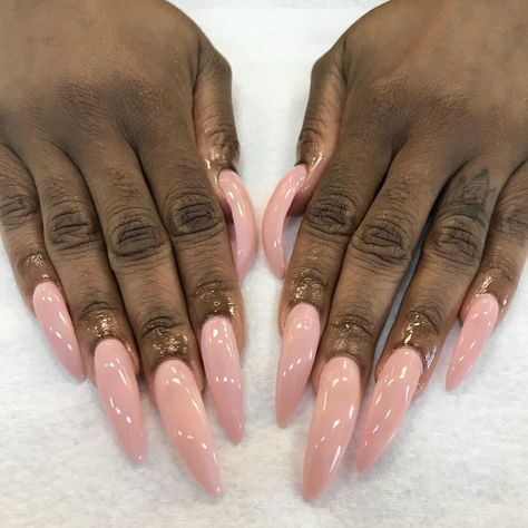 Appointments are available 💅🏾 DM me for appointments... #walkinswelcome #appiontmentspreferred #linkinmybio #doubledigitnails #BreBeatThose #westbanknails #westbanknailtech #nolanails #nolanailtech #blacknailtech #blackgirlsdonailstoo #Idoforyou #mattepolish #foilnails #stilletonails #coffinnails #almondnails #shapingislife #NOLAgirl #NOLAlife #ombrenails #nailart #nailsofinstagram #nolahairstylist #nolabride 90s Curved Nails Medium, Curved Almond Nails, Long Curved Nails, Curved Nails, School Nails, Exotic Nails, Long Acrylic Nails Coffin, Hot Nails, Unique Nails