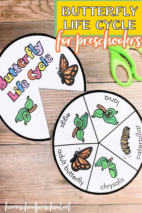 This free printable butterfly life cycle wheel is a useful tool for reviewing the stages of a butterfly's growth. Butterfly Science Activities, Butterfly Life Cycle Preschool, Butterfly Crafts Preschool, Life Cycles Preschool, Butterfly Life Cycle Activity, Butterfly Life Cycle Craft, Stages Of A Butterfly, Butterfly Science, Life Cycle Craft