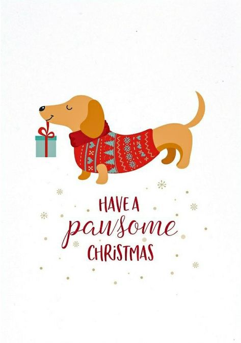 Daschund Christmas Wallpaper, Daschund Christmas Card, Christmas Backrounds, Dachshund Illustration, Weenie Dog, Dachshund Art, Christmas Phone Wallpaper, Cute Christmas Wallpaper, Dachshund Christmas