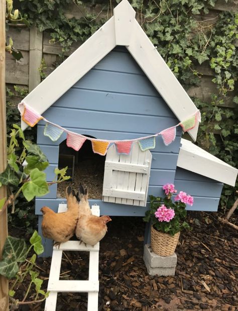 Pretty Chicken Coop, Lavender Chicken, Cute Chicken Coops, Duck Coop, Chicken Coup, Backyard Chicken Coop Plans, Blue Chicken, Backyard Chicken Farming, Chicken Life