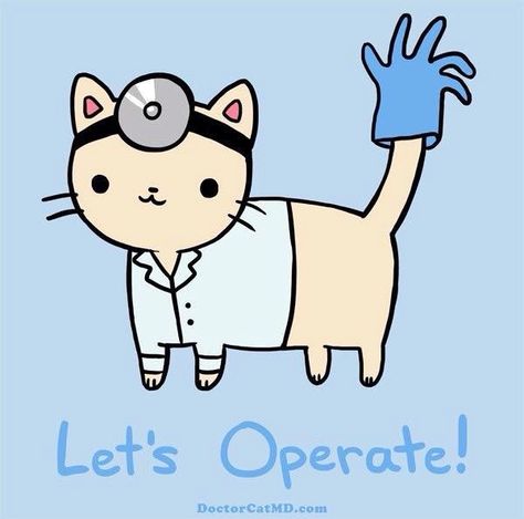 Doctor Cat, A Doctor, And Now, T Shirt