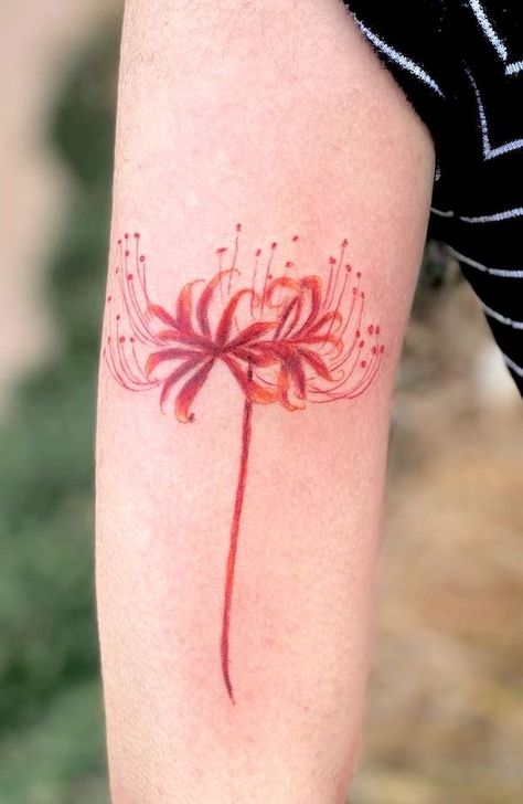 98 Beautiful Flower Tattoos and Meaning - Our Mindful Life Small Lily Flower Tattoo, 3 Flower Tattoo, Red Flower Tattoo, Stargazer Lily Tattoo, Daffodil Flower Tattoos, Lily Tattoo Meaning, Chrysanthemum Flower Tattoo, Red Flower Tattoos, Japanese Camellia