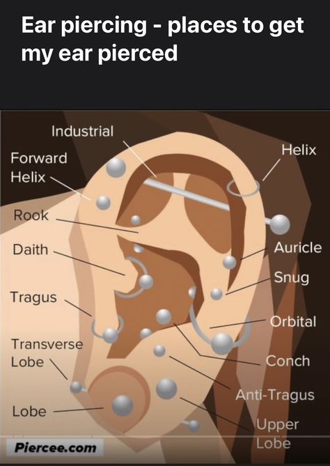 Types Of Ear Piercings Chart Names, Different Kinds Of Ear Piercings, Earing Placement Names, Peircings Women Ear Chart With Names, Earings Piercings Names, All Ear Piercings Chart, Ear Piercings Placement Chart Baddie, Ear Piercing Places, Surface Tragus Piercing