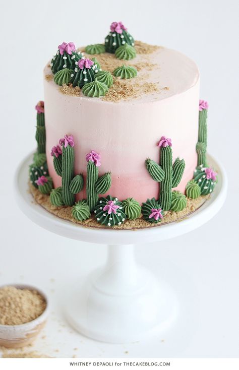 Sunset Buttercream Cake, Arizona Cake Ideas, Buttercream Succulent Cake, Boho Cactus Cake, Western 21st Birthday Cake, Easy Succulent Cake, Cactus Cake Design, Succulents Cake Ideas, Succulent Cake Birthday