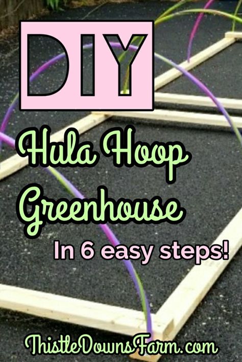 Do you want a small greenhouse for your seedlings but don't want to spend a fortune? Build your own with hula hoops! Check out this simple step-by-step tutorial and learn how you can build your own mini greenhouse quickly and easily for a fraction of the cost of a store-bought one. Learn more at ThistleDownsFarm.com | #diygreenhouse #minigreenhouse #diygardener #hulahoopproject Diy Small Greenhouse, Diy Mini Greenhouse, Hula Hoops, Build A Greenhouse, Greenhouse Interiors, Small Greenhouse, Mini Greenhouse, Garden Art Crafts, Diy Greenhouse