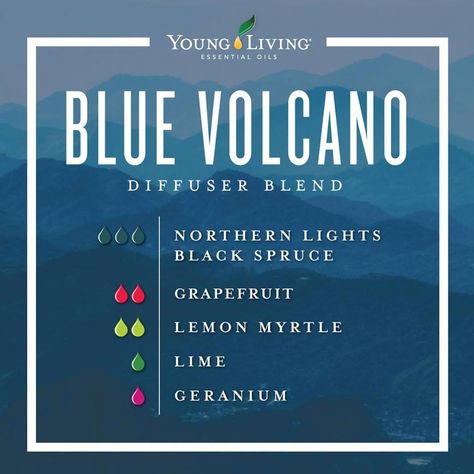 A Short Helpful Essential Oil Guide For essential oil perfume floral Volcano Diffuser, Blue Volcano, Helichrysum Essential Oil, Young Living Essential Oils Recipes, Yl Essential Oils, Essential Oil Diffuser Recipes, Oil Diffuser Recipes, Essential Oil Mixes, Essential Oil Blends Recipes