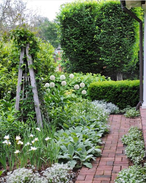 Cindy Hattersley, Outfit Of The Week, Lauren Liess, Brick Path, Outdoor Path, Front Courtyard, Side Yard, White Gardens, Garden Spaces