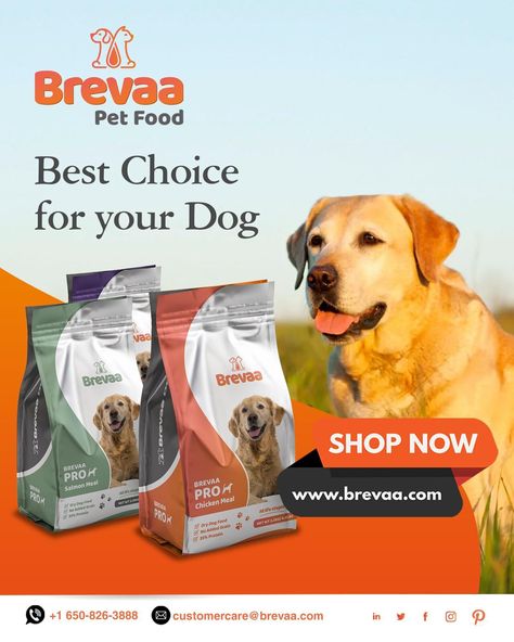 Dog Food Advertisement, Pet Marketing, Deworming Dogs, Food Flyer, Dog Food Brands, Green Background Video, Royal Canin, Pet Supplements, Food Ads